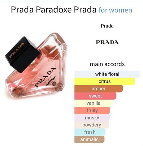 prada note|prada milano notes.